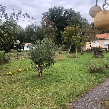 Petite Maison Rustique Et Atypique Hourtin Exterior photo